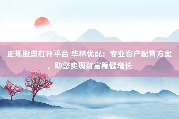 正规股票杠杆平台 华林优配：专业资产配置方案，助您实现财富稳健增长