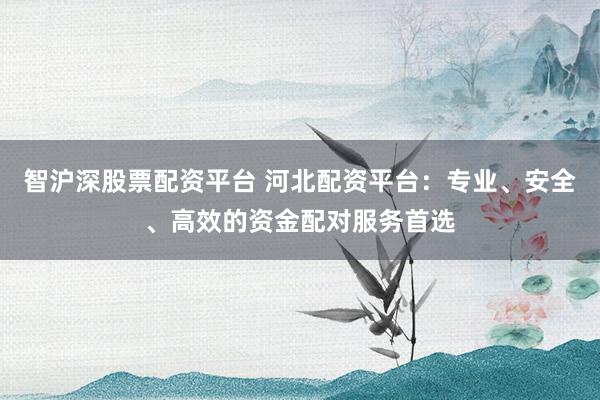 智沪深股票配资平台 河北配资平台：专业、安全、高效的资金配对服务首选