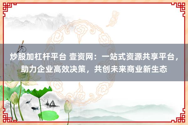 炒股加杠杆平台 壹资网：一站式资源共享平台，助力企业高效决策，共创未来商业新生态