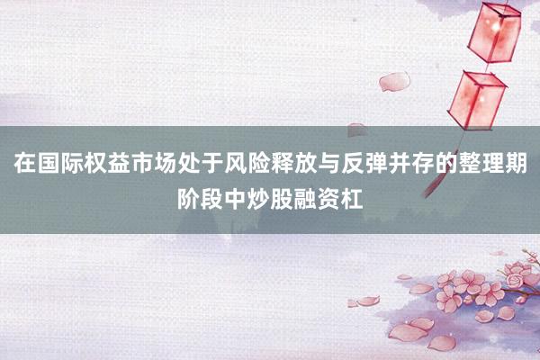 在国际权益市场处于风险释放与反弹并存的整理期阶段中炒股融资杠