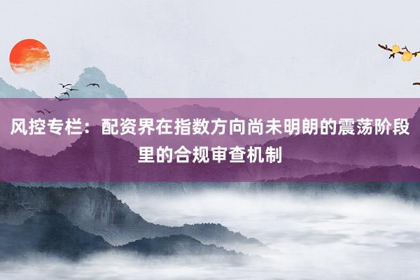风控专栏：配资界在指数方向尚未明朗的震荡阶段里的合规审查机制